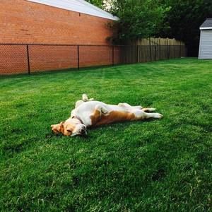 Meet your Posher, Bryan